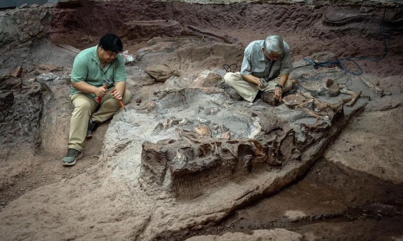Thailand's 'Jurassic Park' Shines Light on Dinosaur Evolution