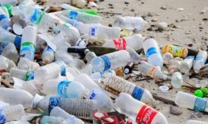 plastic pakistan canva