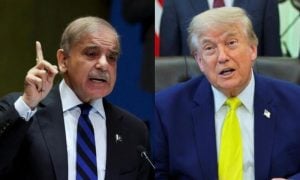 trump SS canva