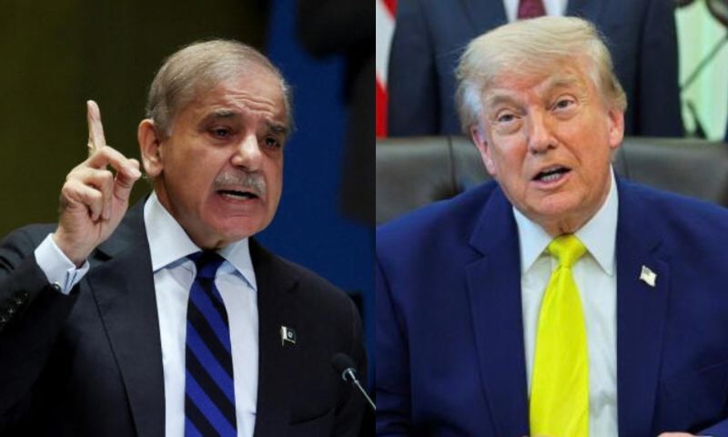 trump SS canva