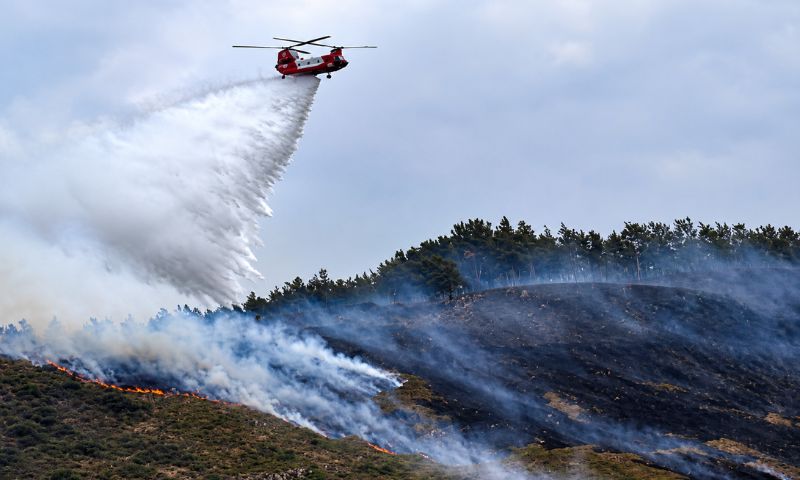 wildfire
