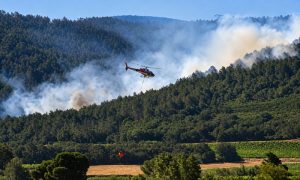 wildfire