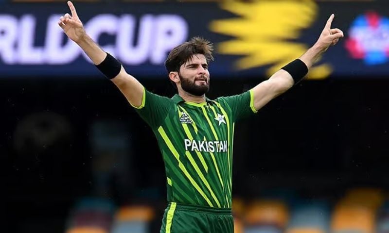 Afridi canva