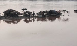 Climate