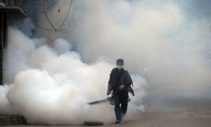 Dengue2 1