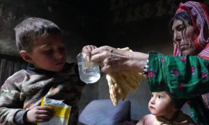 Food Insecurity