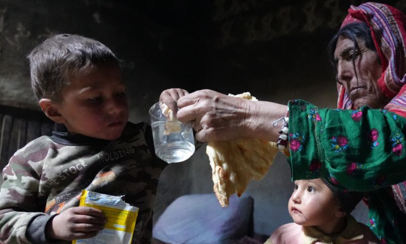 Food Insecurity