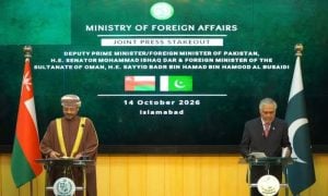 Houthi Attacks on Saudi Arabia 'Totally Unacceptable': Pakistan's Deputy PM
