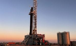Oil