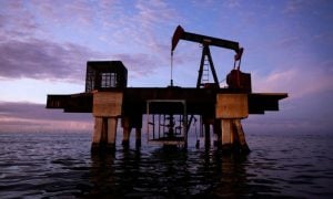 Oil