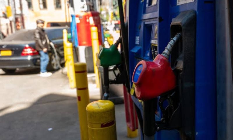 Oil