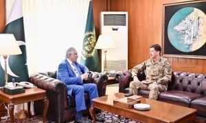 Pakistan Deputy PM, Commander National Strategic Command Stress Close Institutional Coordination