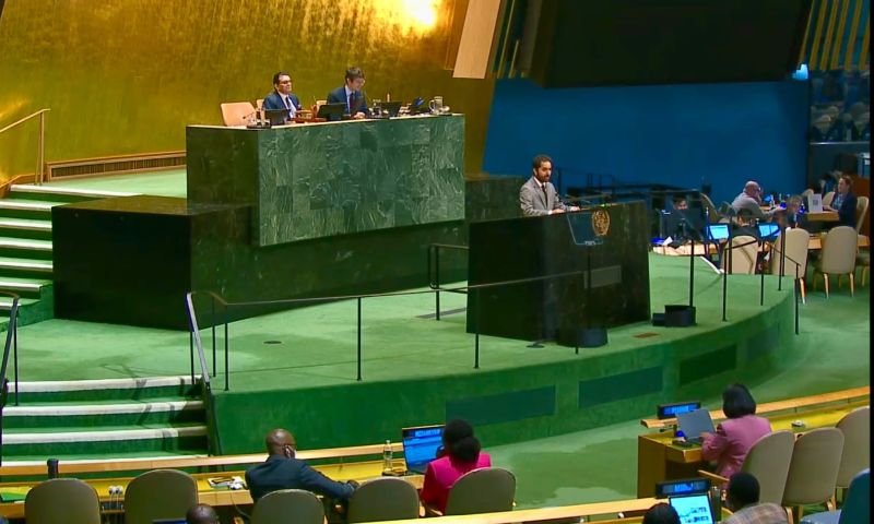 Pakistan Calls for Stronger General Assembly, Effective Implementation of UN Resolutions