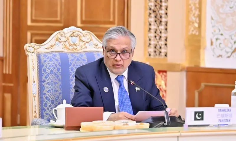 Pakistan Urges SCO Members to Promote National Currencies, Strengthen Financial Cooperation