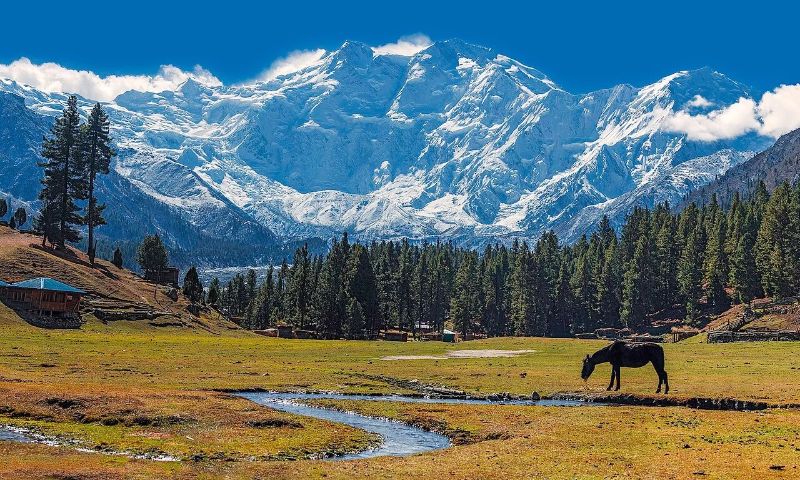 The World of Eight-Thousanders: Pakistan’s Majestic Giant Mountains
