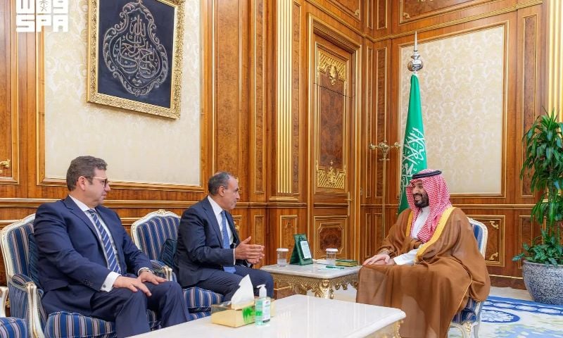 Saudi Crown Prince, Egypt Foreign Minister Discuss Regional Developments