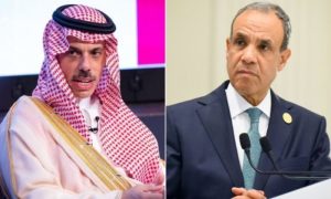 Egypt Reaffirms Full Support for Saudi Arabia's Security