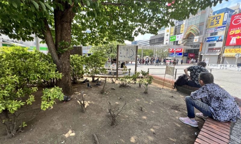 Tokyo