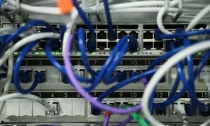 Websites Go Dark as AI Exposes Critical Security Flaws