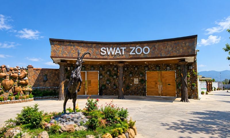 Zoo1