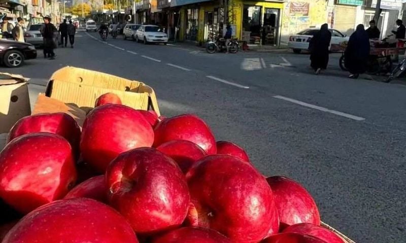apple