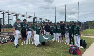 baseball canva